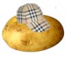 The Common Potato