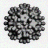 Capsid