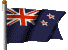 :nz: